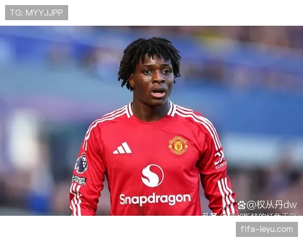 布莱顿新赛季英超前景引关注：能否延续强势表现成焦点