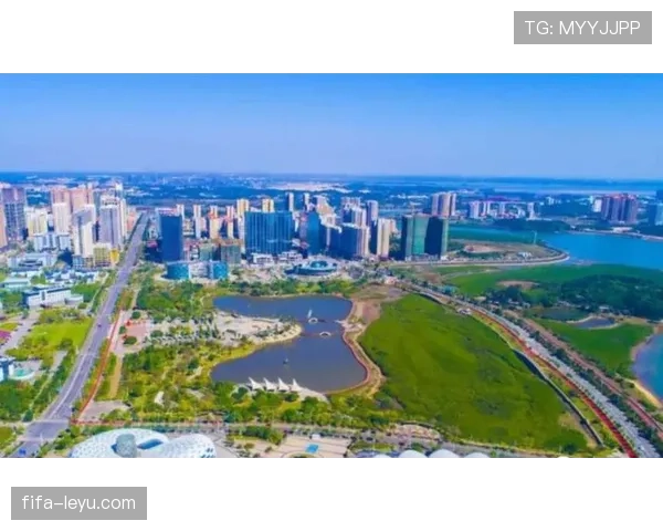 南非2010世界杯：足球盛事如何重塑国家形象并驱动未来发展