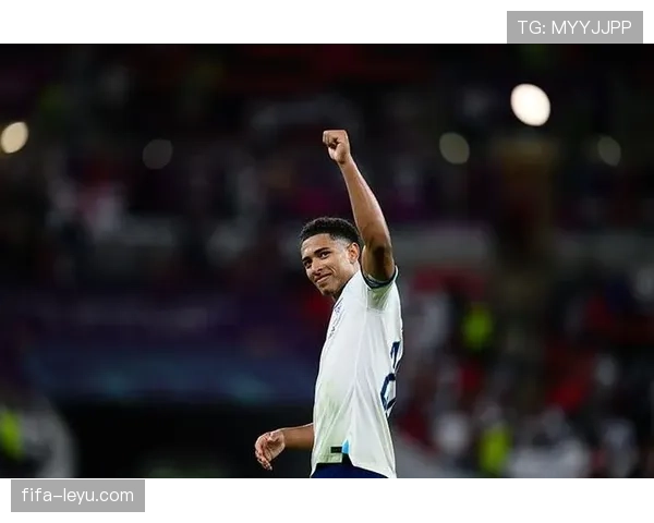 南安普顿新赛季展望：青春风暴能否引领球队重返巅峰？